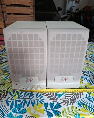 coppia casse amplificate vintage