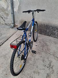 Bici da uomo