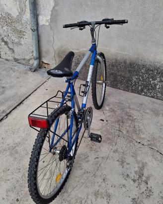 Bici da uomo