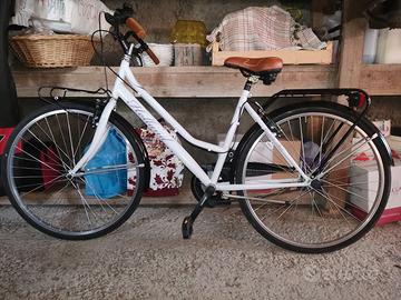 Bici olandese