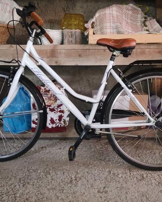 Bici olandese