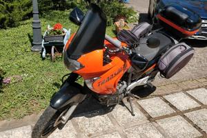 Honda transalp xl 650