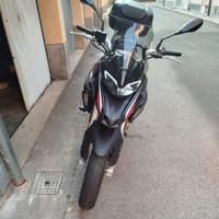 BENELLI TRK 250 