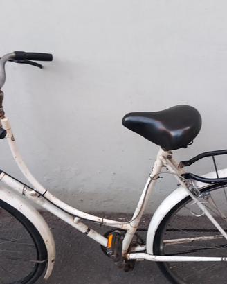 Bicicletta Holland 