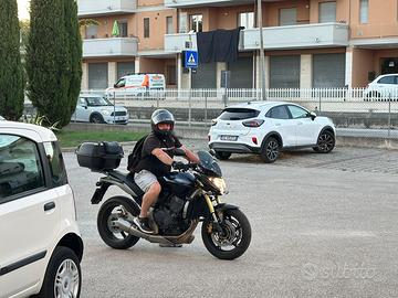 Honda hornet