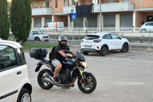 Honda hornet