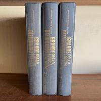 GRANDE DIZIONARIO della lingua italiana
