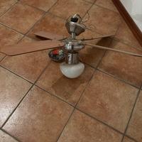 Pala a soffitto con 1 luce