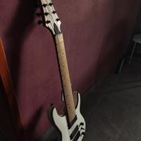 Chitarra Elettrica 8 corde