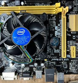 Bundle asus 1150, cpu core i3, ram, leggi!