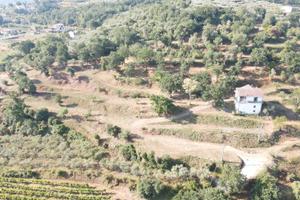 Vendita terreno agricolo