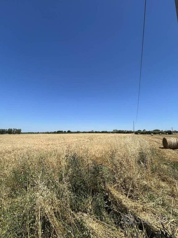 Rustico / Casale di 20040 m² a Tuscania - Vista 2