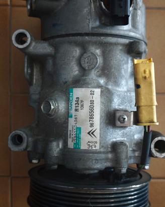 Compressore clima Sanden per Citroen e Peugeot