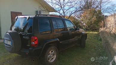 Jeep Cherokee del 2002