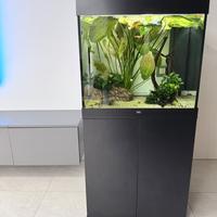 Acquario Juwel Lido 200 completo con mobile, piant