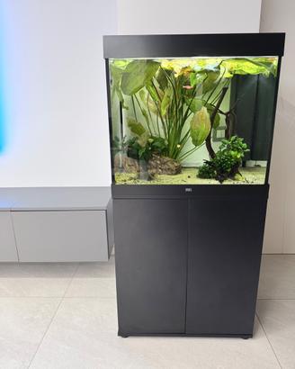 Acquario Juwel Lido 200 completo con mobile, piant