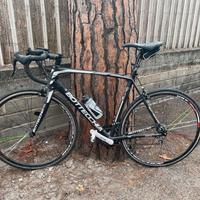 Bottecchia reparto corse