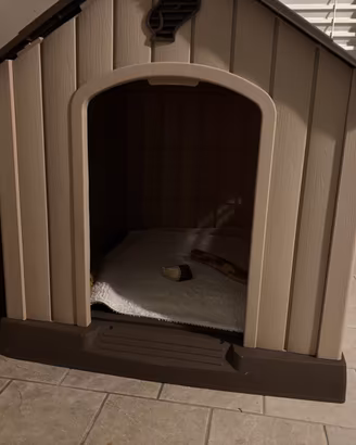 Cuccia per Cani da Esterno, Taglia Media 80x78x74