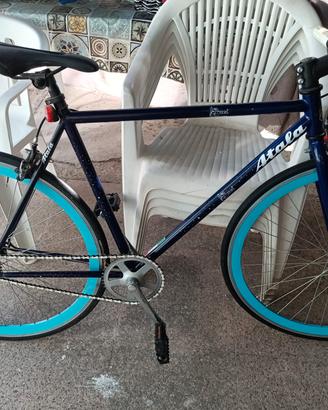 Bicicletta adulti 