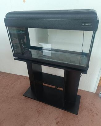 Acquario lt. 60 completo di ricircolo interno