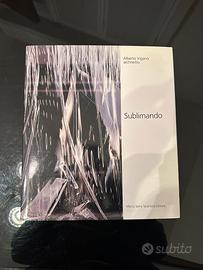 Libro Alberto Viganò architetto Sublimando