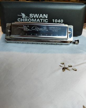 armonica Swan 1040