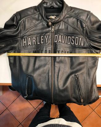 stupendo Giacchetto pelle Harley-Davidson