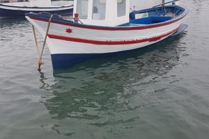 Barca a motore con licenza