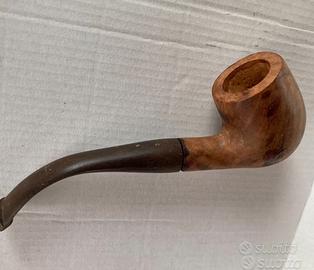 Pipa radica Calabrese