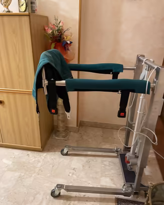 Sollevatore elettrico