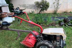 Motocoltivatore Agria Carraro