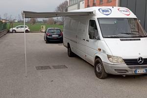 Tendalino thule 5 ml