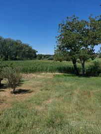 Terreno di 11000 m² a Pesaro