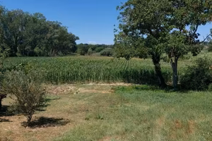 Terreno di 11000 m² a Pesaro