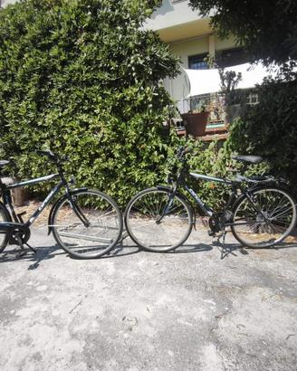 Bici citybike esperia 6 rapporti