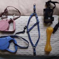 Guinzagli, museruola e pettorina per cani