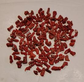  rami di corallo rosso