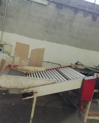 Linea lavorazione agrumi