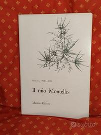 Il mio montello di Wanda Casellato