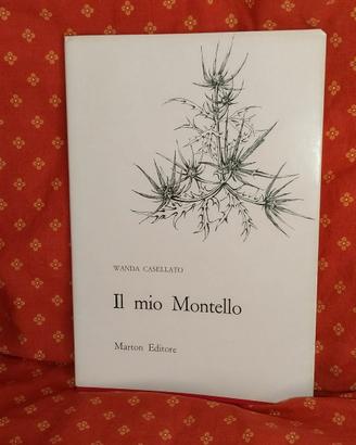 Il mio montello di Wanda Casellato