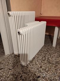 Termosifone radiatore