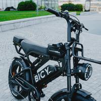 Bici elettrica