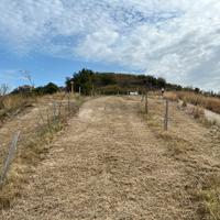 Terreno agricolo