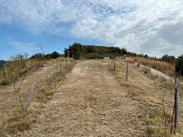 Terreno agricolo