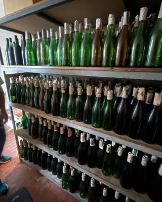 Bottiglie vuote  per vino da imbottigliare