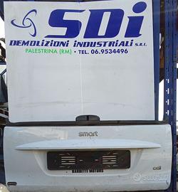 Portellone baule smart 451