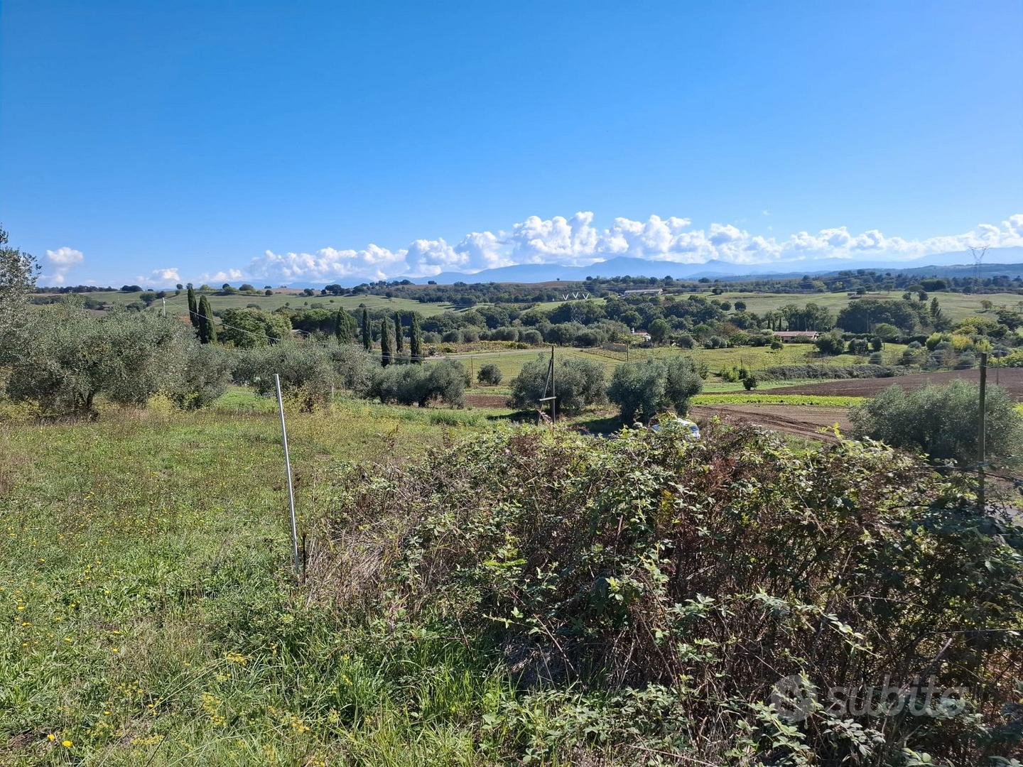 Terreno agricolo - Vista 4
