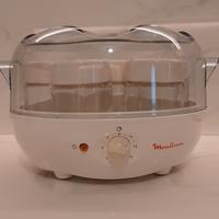 yogurtiera moulinex 