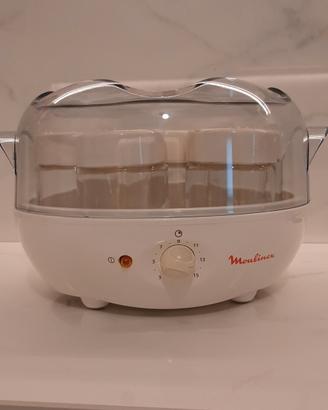 yogurtiera moulinex 