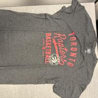 Toronto raptors